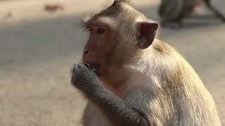 Poor mama Sreymao and baby waiting food on the road