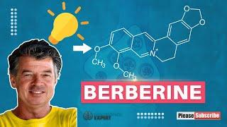 Berberine - updated