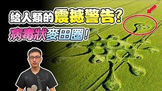 英國驚現神秘病毒麥田圈！外星人傳遞給我們的信號？【地球旅館】