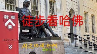 徒步去哈佛 走马观花闲逛世界名校 Hiking to Harvard, Touring the World's Famous School