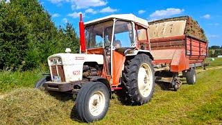 David Brown 780 Oldtimer mit Deutz Fahr KS 327 S Ladewagen beim Heu aufladen 2024 auf der Alb!