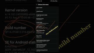 Samsung Galaxy m62. how to develop your phone, create developer option in setting.