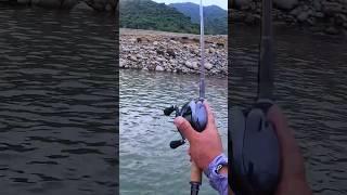 Lure Fishing the Wild Boar!? 路亞釣山豬行不行!? #lurefishing #wildboar #funnyvideo #toman #snakehead