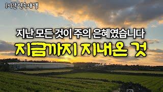 지금까지 지내온 것  301장/ 깊은 기도로 인도하는 찬송가 / 중간광고없음 / Peaceful Hymn / Korea Jeju