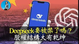 一口氣了解Deepseek的股權結構，梁文峰如何做到獨掌大權？Deepseek遭遇危機，將被禁用！｜小翠時政財經 [20250130#659]