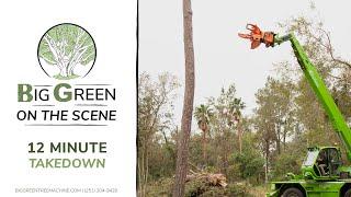 Big Green on the Scene: 12 Minute Tree Removal Takedown