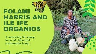 Folami Harris and Ile Ife | Mobile Reasoning | Good News Jamaica