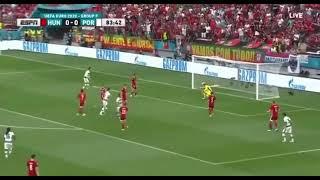 Raphael Guerreiro’s Goal against Hungary.