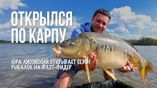 Флэт-фидер для новичков: прикормка, монтажи и ловля карпа. Удачное открытие сезона 2025