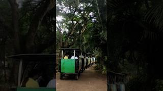 Araku Toy train padmapuram gardens #youtubeshorts #shortvideo #ytshorts