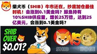 柴犬币（SHIB）牛市还在，抄底加仓最佳时机！会涨到0.1美金吗？鲸鱼持有10%SHIB供应量，增长25万倍，达到25亿美元，最初投资仅1万美元，会涨到0.1美金吗？#shib币#柴犬币#屎币行情分析