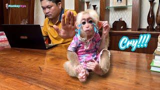 Baby monkey Kyo cried sobbing when Dad got angry with her!