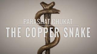 Parashat Chukat 5782: The Copper Snake