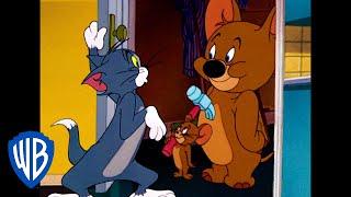 Tom & Jerry em Português | Brasil | Pegue-me se for capaz | WB Kids