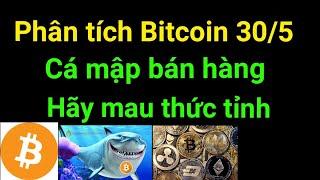 Phân tích bitcoin altcoin hôm nay ngày 30/5 cập nhật thị trường crypto mới nhất giảm giá mạnh