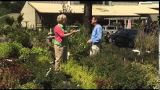 Cold Creek Nurseries - Aiken, SC