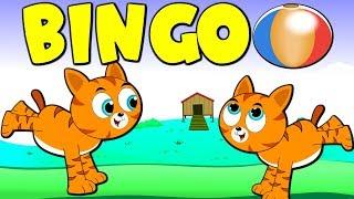 Lagu Kanak Kanak Melayu Malaysia - Pak Atan Ada Kucing | BINGO Nursery Rhyme in Malay