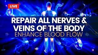 Repair All Nerves and Veins Of The Body | Heal Neuropathy | Enhance Blood Flow To Muscles and Organs