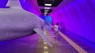 Shark in Metro