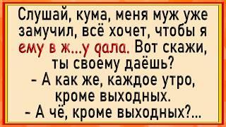 Как жена разрешила мужу! Сборник свежих анекдотов! Юмор!