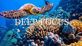 Deep Focus Music To Improve Concentration - 11 Hours of Ambient Study Music to Concentrate #13
