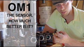 OM1 Sensor, Everything You Need to Know