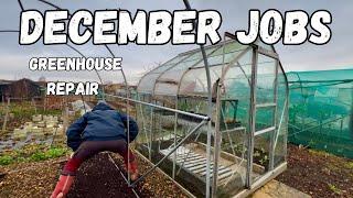 December Allotment Jobs & Greenhouse Repairs - Winter Gardening Tips