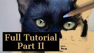 How to Paint Black Fur, Part II - Working on the Body, Blurred Background, Grass and Whiskers