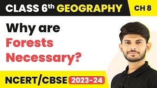 Class 6 Geography Chapter 8 | Why are Forests Necessary? - India: Climate, Vegetation and Wildlife