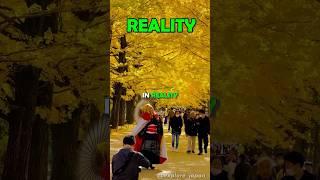 Places in Japan you won't believe really exists️