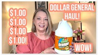 DOLLAR GENERAL HAUL | $1.00 | Fantastic Finds | WOW | LOVIN’ DG #haul #dollargeneral