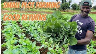 Discover the Power of Small-Scale Farming with good returns