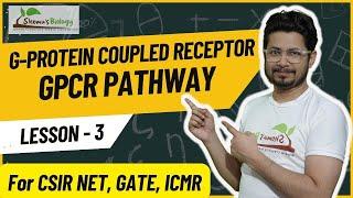 GPCR signaling pathway csir net | G protein coupled receptor signaling