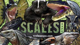 Scales Expo 2024 -REPTILE SHOW!- West Palm Beach, FL