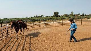 Legendary Barrel Racer Sharon Camarillo is a Class Act | COWGIRL