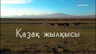 Қазақ жылқысы. Арнайы жоба