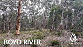 Boyd River Campground - Kanangra Boyd National Park, NSW