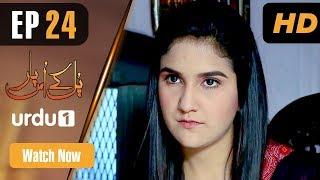 Pull Kay Us Par - Episode 24 | Urdu 1 Dramas | Riz Kamali, Kanwar Arsalan, Naheed Shabbir