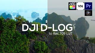 New Drone dji mini  color grading luts free download|preset