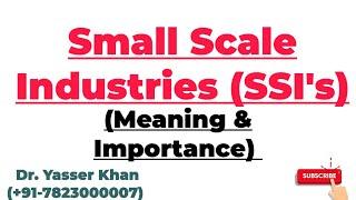 Small Scale Industries | Meaning Of Small Scale Industries | Importance Of Small Scale Industries