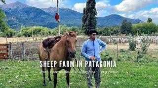 3 PROVINCES IN 1 DAY TO VISIT A FARM IN PATAGONIA. Episode 2 