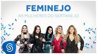 Feminejo: As Mulheres do Sertanejo - Mix Sertanejo 2019