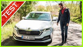 Test Skoda Octavia Combi 2020 (2.0 TDI, 150 PS) First Edition: Review: Assistenz, Preis, Ausstattung