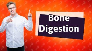 Can animals digest bones?