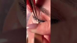 lash magic ️ - ask your lash tech about Lash Flash