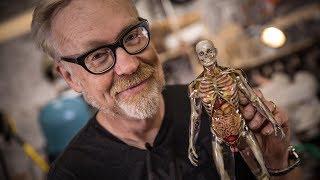 Inside Adam Savage's Cave: Human Anatomy Model!