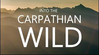 INTO THE CARPATHIAN WILD (trailer)