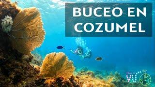 Buceo En Cozumel Mexico