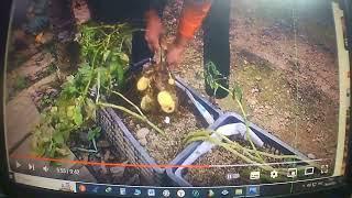 Об авторских правах Изменение в подаче контента