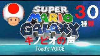 Toad's Voice 30 (キノピオの声　３０種類）〔スーパーマリオギャラクシー〕